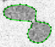 Structure defined by 1 lines