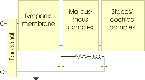 Partial circuit model of middle ear