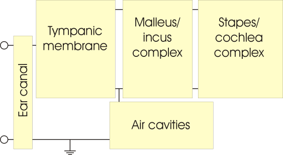 Block diagram of middle ear