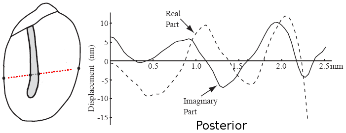 Point-by-point eardrum measurements