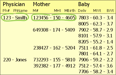 Sample hierarchical database