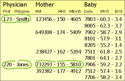 Sample hierarchical database