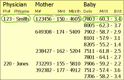 Sample hierarchical database