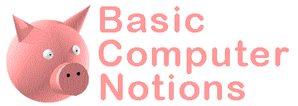 Basic Computer Notions