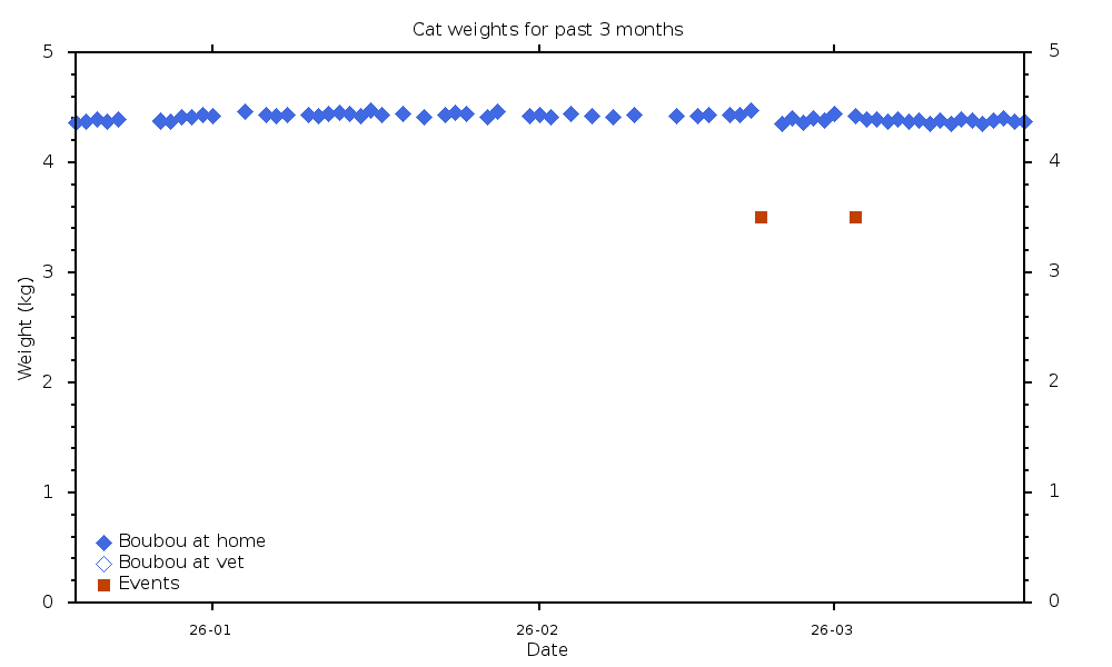 Cat weights for past 3 months