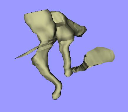 Ossicles (VRML model)